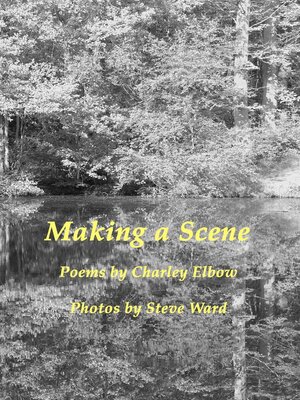 cover image of Making a Scene